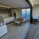 Flamingos Q20 11 150x150