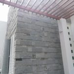 Guacamayas 05 3 150x150